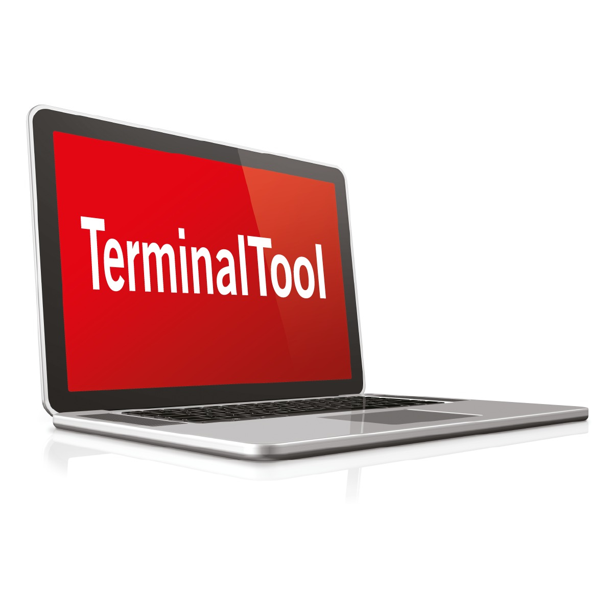 Laptop displaying a red screen with the text 'TerminalTool'